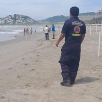 Muere otra persona por mordida de tiburón; ahora fue un turista extranjero en playa de Zihuatanejo