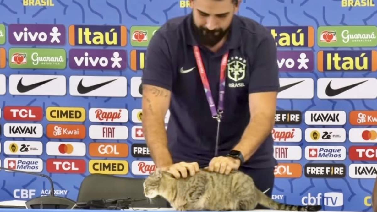 Asistente aparta a gato de conferencia