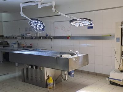 Exigen reconocimiento de insalubridad para el Cuerpo Médico Forense del Poder Judicial
