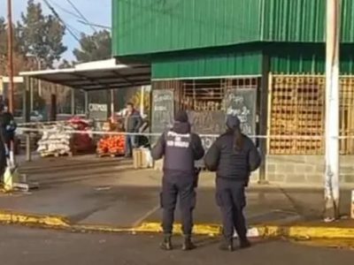 Murió en la reja al intentar entrar a robar en una verdulería de Allen