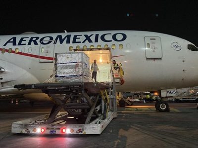 Llegó un avión con vacunas de AstraZeneca: cuántas dosis recibió Argentina