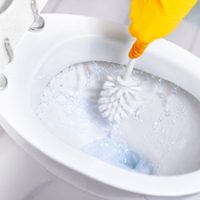 El truco casero para que tu inodoro y tu baño queden relucientes sin gastar dinero en productos