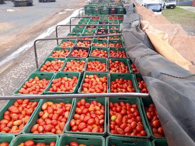 Ministerios de Agricultura de América del Sur organizan libre tráfico de alimentos