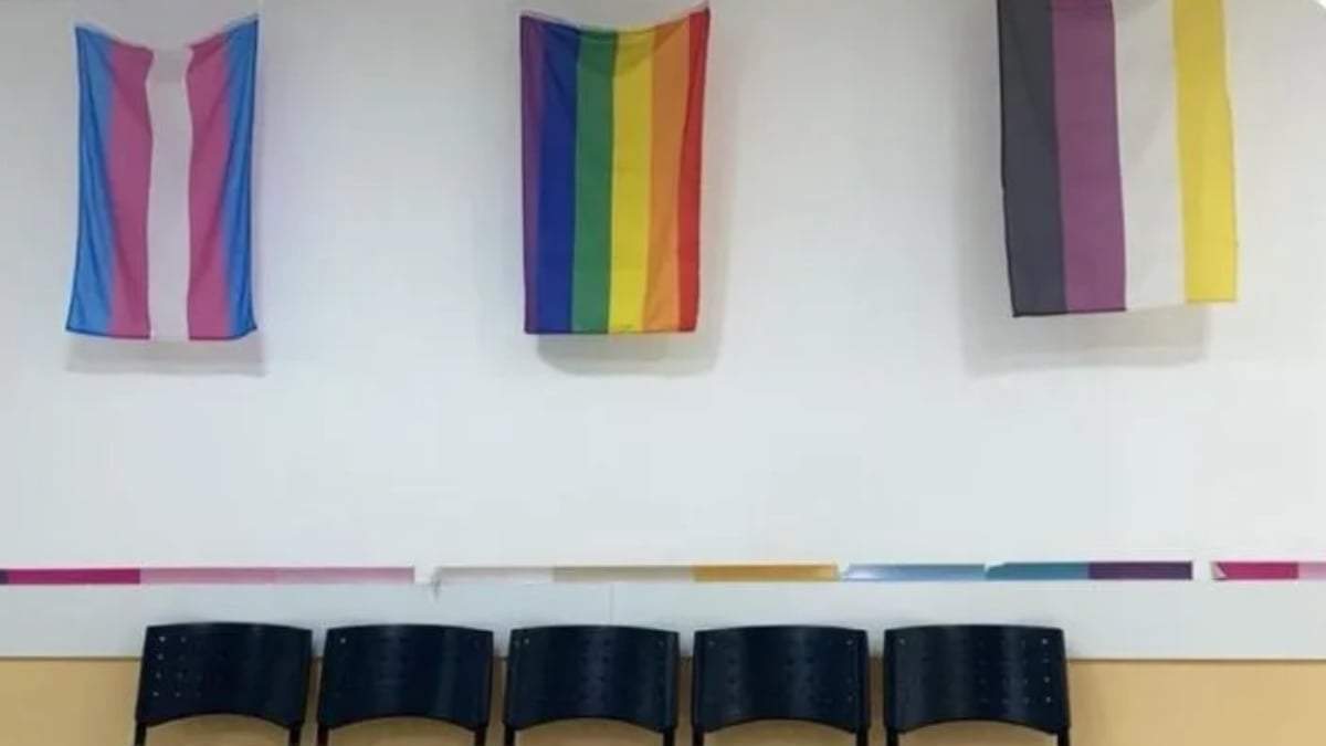 Banderas representativas de la diversidad en el Hospital Ramón Carrillo. Fuente: (X)