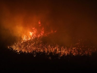 Incendios en Patagonia: el fuego arrasó más de 60 mil hectáreas en apenas seis meses