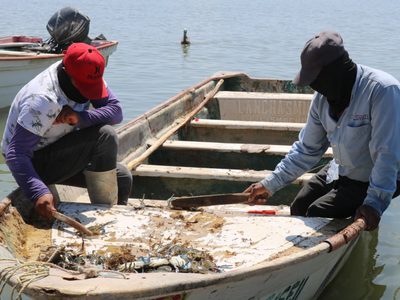 EU retira certificación de México en materia de pesca de camarón