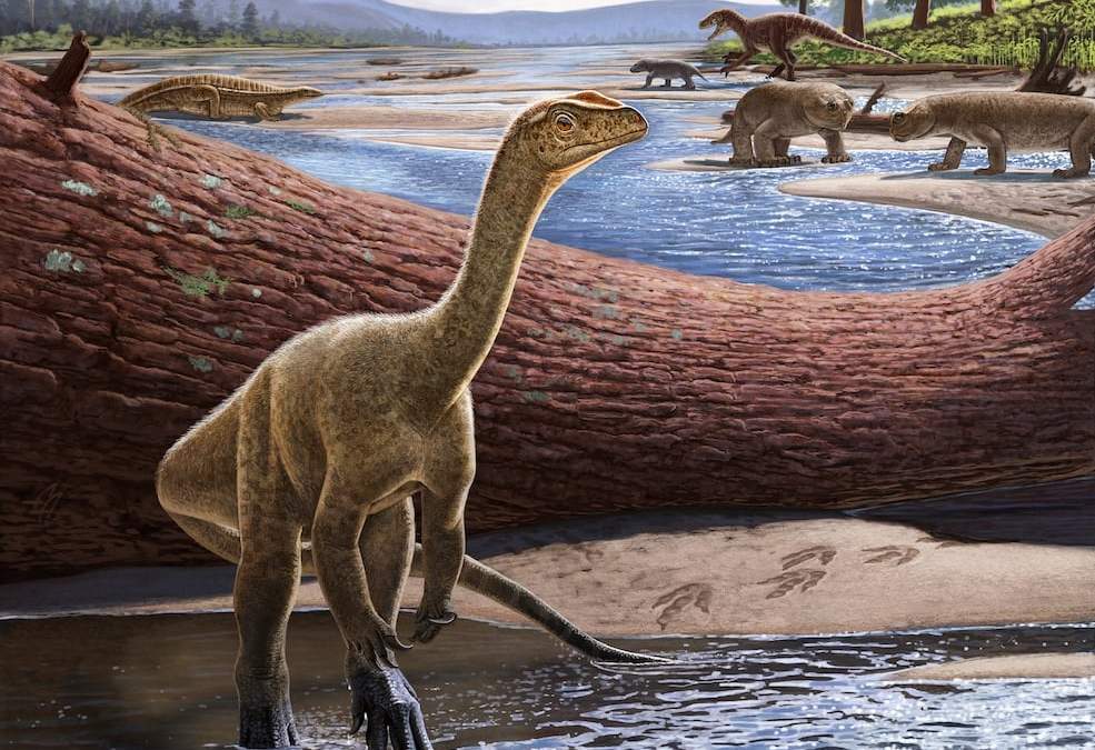 Reconstrucción artística del dinosaurio Mbiresaurus raathi