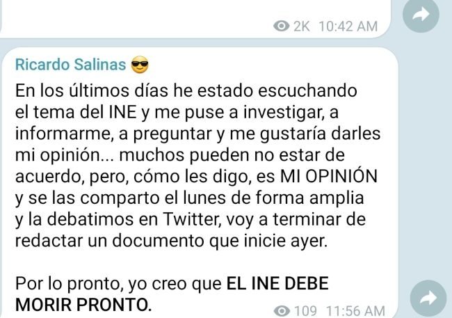 INE-Ricardo-Salinas