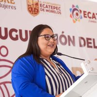 Iniciativa para homologar y sancionar abuso sexual fue aprobada en 16 congresos: Citlalli Hernández