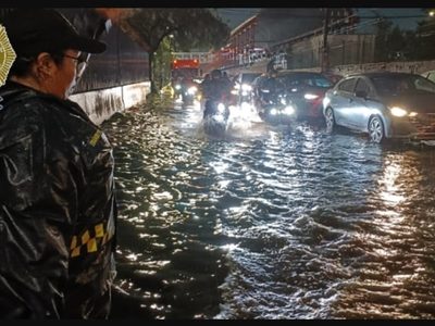 Lluvias colapsan la CDMX; inundaciones, afectaciones viales y caída de árboles (Video)