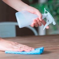 Con pocos ingredientes: prepará este limpiador de polvo para dejar tus muebles totalmente relucientes