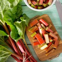 El ruibarbo, un producto natural para sumar a la pastelería