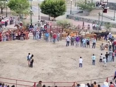 Torturan a dos gatos en fiestas patronales de Xichú, Guanajuato (Video)