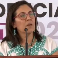 Consejeros del INE difieren sobre recomendación de abstenerse de usar el color rosa en marcha