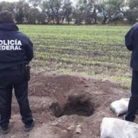 Policía Federal detecta cuatro tomas clandestinas en Querétaro y Edomex
