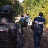 Reportan un león suelto en los alrededores de Culiacán