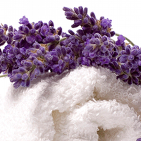 Rituales: así tenés que quemar las flores de lavanda para abrir tus caminos y alejar la tristeza