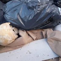 Macabro hallazgo causó alarma en Playa Grande de Mar del Plata