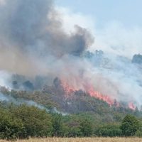Patagonia en emergencia: refuerzan el operativo contra los incendios en Neuquén y Río Negro
