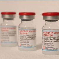 Un estudio explica por qué las vacunas de Pfizer y Moderna son tan eficaces contra covid grave