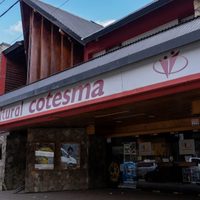 Millonario robo en San Martín de los Andes: se llevaron 30 mil dólares y 18 millones de pesos