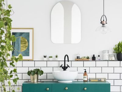 Cuida tu salud, es resistente y fácil de mantener: la planta que tenés que poner en el baño sí o sí