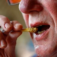 Bruselas autoriza la comercialización del grillo como alimento dentro de la UE