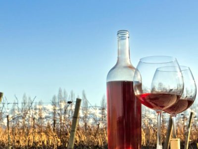 Exportaciones de vino argentino: suba en medio de la pandemia