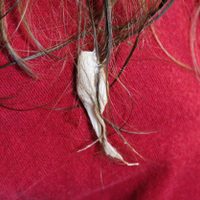 No cortes tu cabello: el truco de las abuelas para quitar el chicle pegado en minutos y con cero dramas