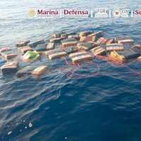 La Marina asegura más de dos toneladas de cocaína en aguas del Golfo de Tehuantepec