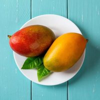 Tené tu propia planta de mango con este sencillo truco: secretos y cuidados básicos para no fallar en el intento