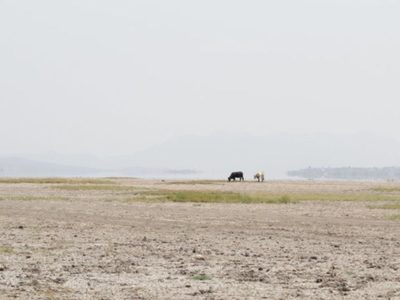 Activistas, académicos y pescadores piden a AMLO salvar el lago de Cuitzeo
