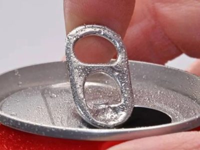 Si tenés latas de gaseosa o cerveza, no las tires: sin gastar un peso, creá esta deco estilo Pinterest para tu jardín
