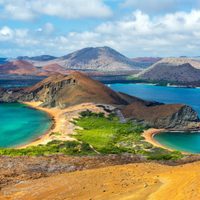 Una mosca diminuta amenaza a 21 especies en Galápagos: algunas están al borde de la extinción