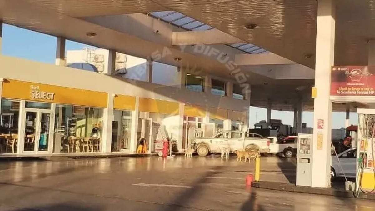 El asalto ocurrió esta madrugada en la estación de servicios de la Autovía Norte. Fuente (Policía de Neuquén)