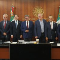 Jucopo del Senado crea grupo para analizar la estrategia de seguridad de AMLO