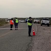 Rincón de los Sauces: murió un adolescente tras volcar un auto sobre la ruta 6