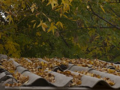 Clima en Neuquén: se viene un miércoles de otoño con lluvias en la cordillera