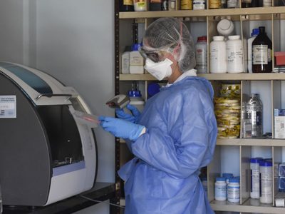 Coronavirus: el 95% de casos positivos de Neuquén fueron de la variante Ómicron