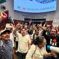 Manifestantes logran ingresar al Senado; suspenden la discusión de la reforma judicial (Videos)
