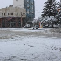 Pandemia, cuarentena y temporal de nieve: letal para los comercios de Zapala