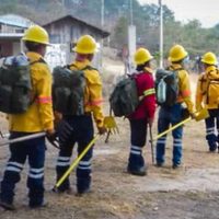 Brigadistas del Edomex y personal de la Sedena se suman al combate de incendios en Oaxaca
