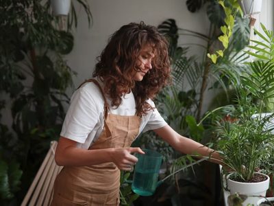 El método más efectivo y natural para mantener todas tus plantas libres de plagas con 2 solo ingredientes