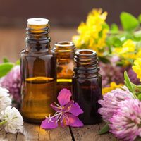 Cómo hacer cremas y cosmética natural con frutas y flores