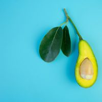 El truco para tener tu propio árbol de paltas en pocas semanas