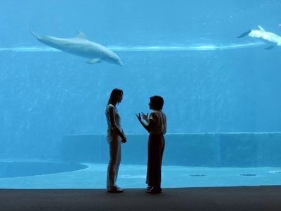 “Protectores de la Tierra”, documental para incitar a la salvación del planeta