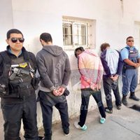 Hallaron 4,5 kilos de marihuana en Centenario durante un allanamiento por robo a una tienda