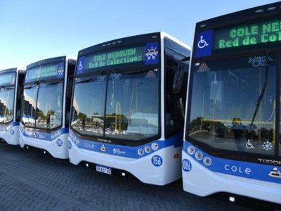 Más colectivos en Neuquén: COLE suma 36 unidades y debuta la flota eléctrica en marzo