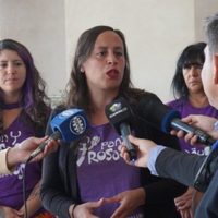 Presentaron otra vez el Plan de Emergencia contra la violencia hacia las mujeres