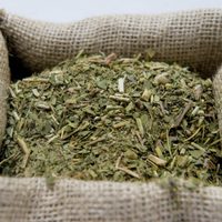 El Gobierno invertirá 650 millones de pesos en yerba para “atender a la población”